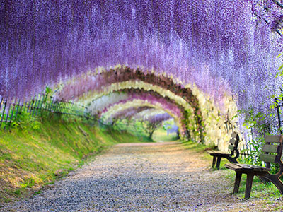 smailing experiences