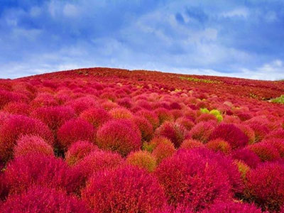 smailing experiences