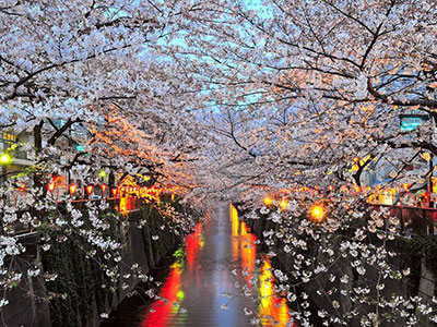 smailing experiences