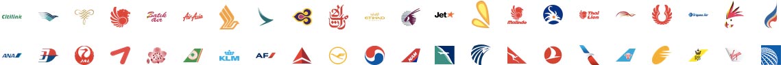 airlines partners